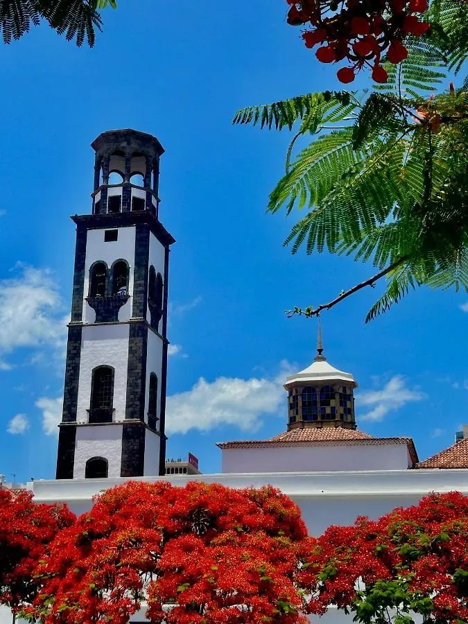Homestay Niko Rooms Santa Cruz de Tenerife