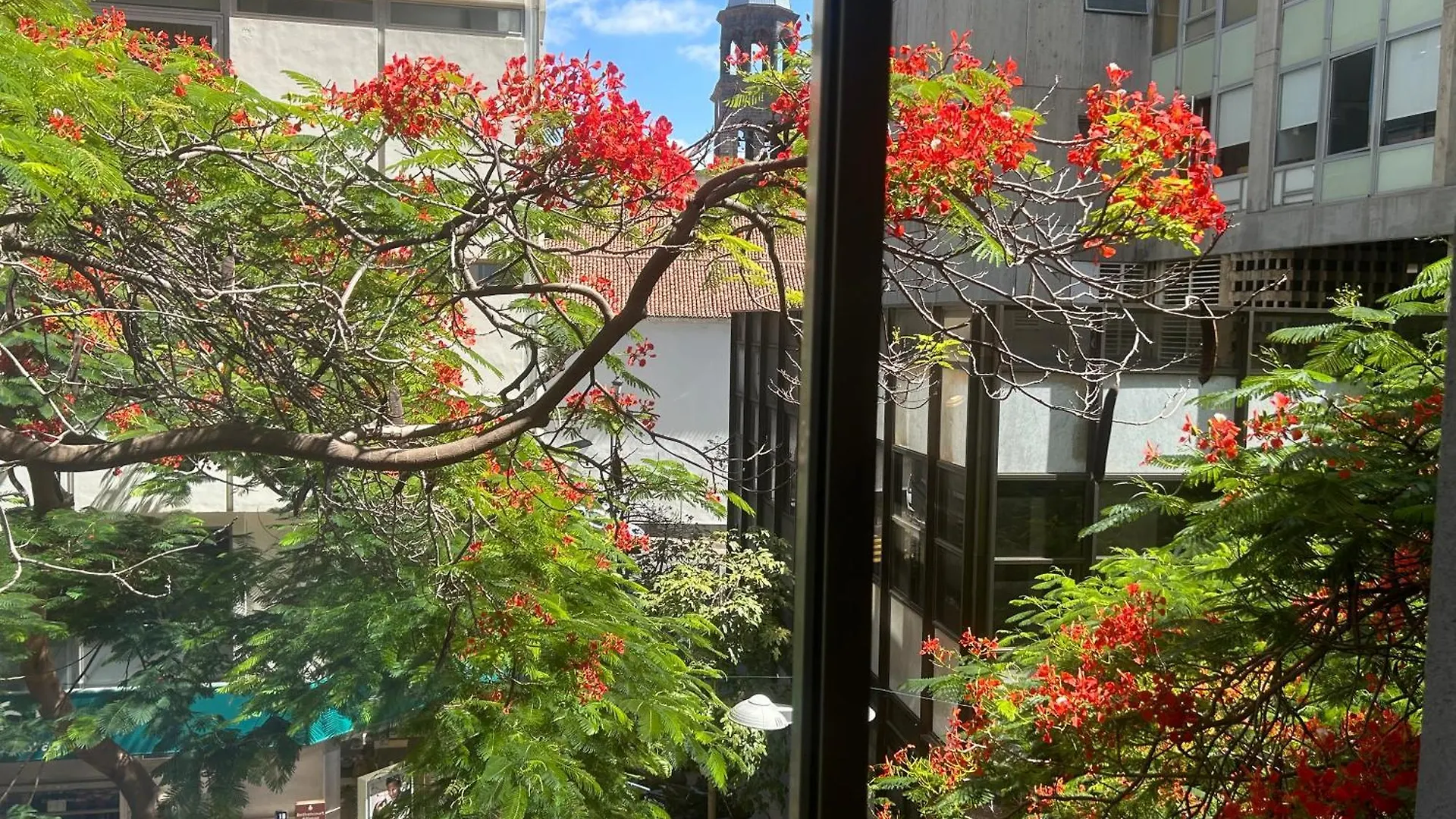 Niko Rooms Santa Cruz de Tenerife Homestay
